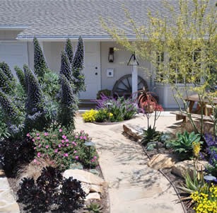 Pride of Madeira Garden